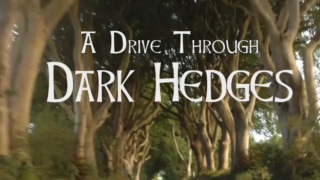 Video thumbnail for The Dark Hedges - what it's like to drive through