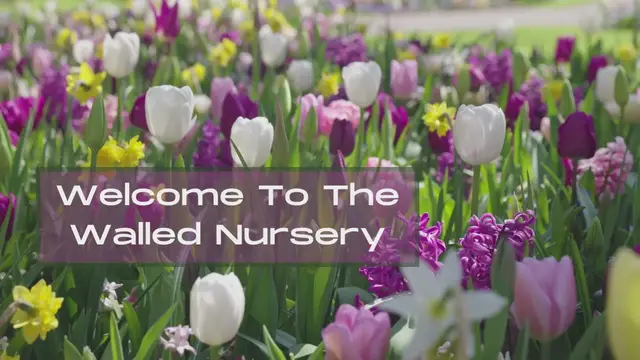 'Video thumbnail for Welcome To The Walled Nursery'