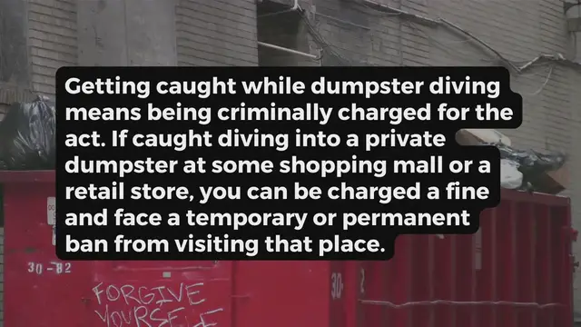 'Video thumbnail for Dumpster Diving in Nevada'