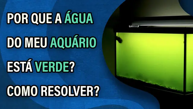 Video thumbnail for Por que a água do meu aquário está verde? O que eu devo fazer para solucionar esse problema?