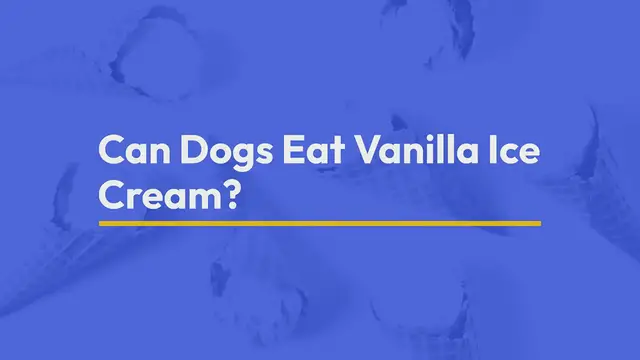 'Video thumbnail for Can Dogs Eat Vanilla Ice Cream'