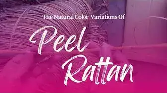 Video thumbnail for The Natural Color Variations of Peel Rattan