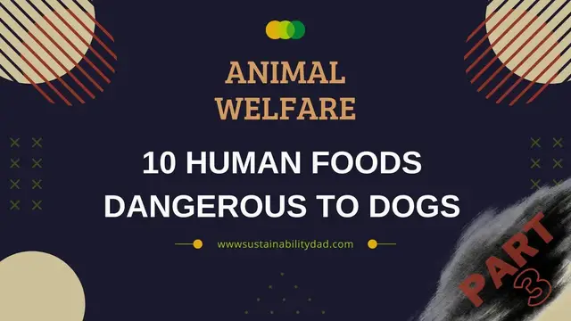 'Video thumbnail for Dangerous Dogs 3'