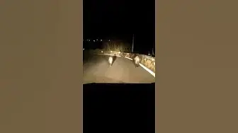 'Video thumbnail for Getting Stopped By The Pigs #late #spanishlife #shorts'