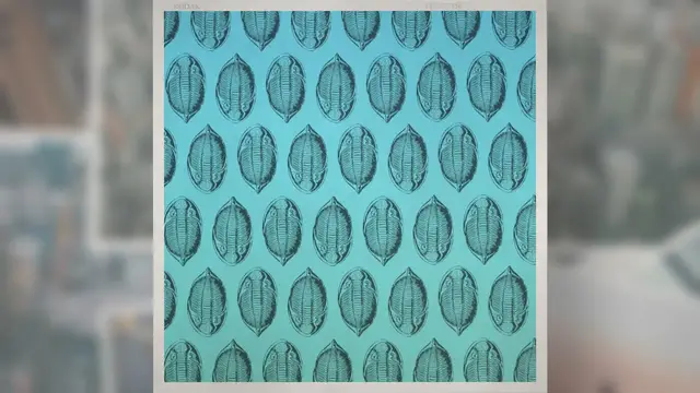 Video thumbnail for How Big Is an Ammonite?