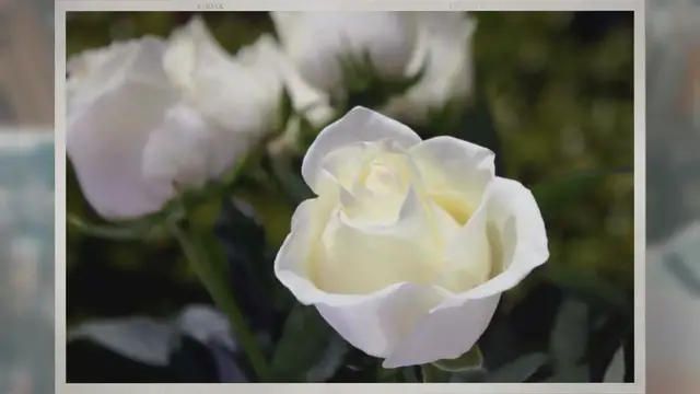 Video thumbnail for Do Funeral Homes Keep Copies of Death Certificates?