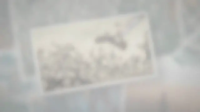 Video thumbnail for Falcon Hunt Turns into a Fight Amongst Thousands of Birds