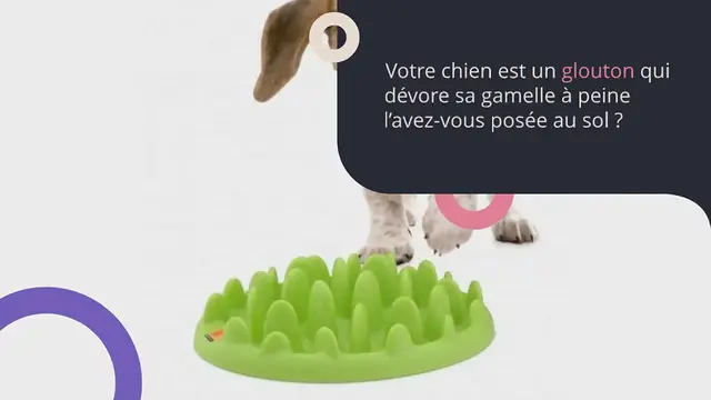 Video thumbnail for Les 7 meilleures gamelles anti-glouton pour chien en 2024