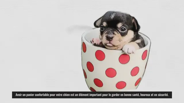 'Video thumbnail for panier pour chien confortable'