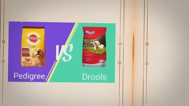 Video thumbnail for Drools vs Pedigree – Which Dog Food Is The Best In 2022