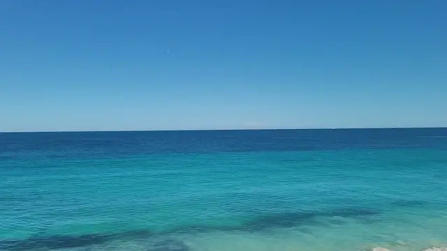 'Video thumbnail for Seabird video 6'