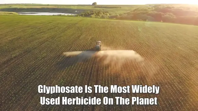 Video thumbnail for How You Detox Glyphosate From The Body (Science Based Protocol)(720P HD)