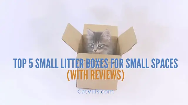 Video thumbnail for TOP 5 SMALL LITTER BOXES FOR SMALL SPACES WITH REVIEWS