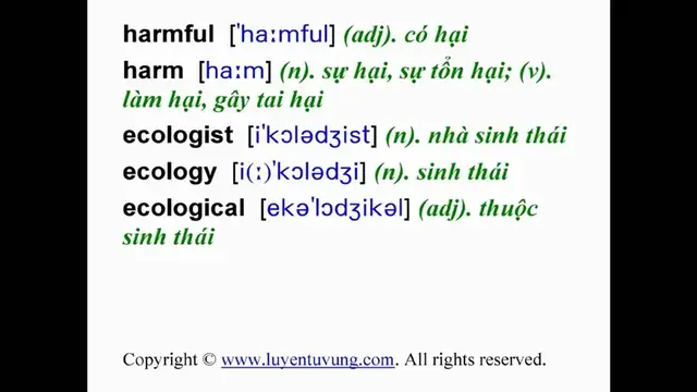 Video thumbnail for Learn English Vocabulary - Grade 11 - Unit 11 - Lesson 02