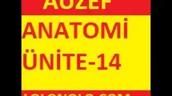 'Video thumbnail for Anatomi Ünite 14 Online Test auzef sorular– Öğrenme Yõnetim Sistemi Google Chrome 2020 02 02 00 24'