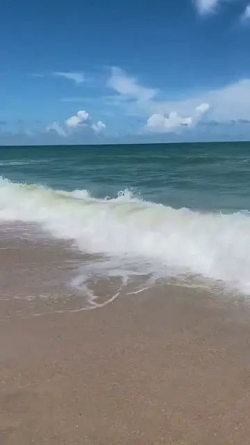 Video thumbnail for Little Talbot Island Beach in Florida