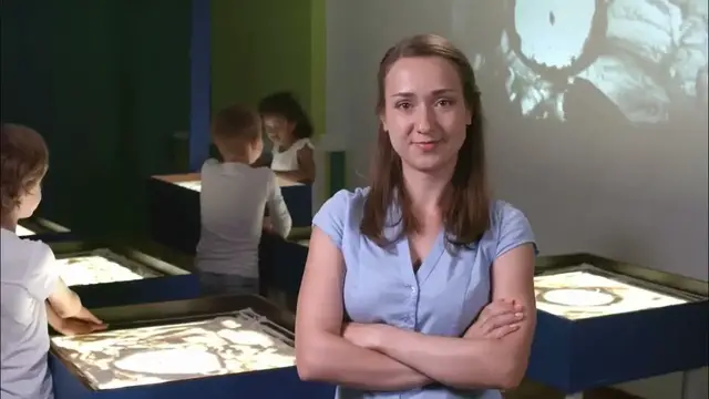 Video thumbnail for Population Growth Effects On Education