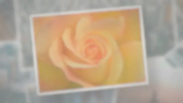 Video thumbnail for Do Roses Have Pollen?
