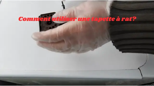 Video thumbnail for Comment utiliser une tapette à rat?