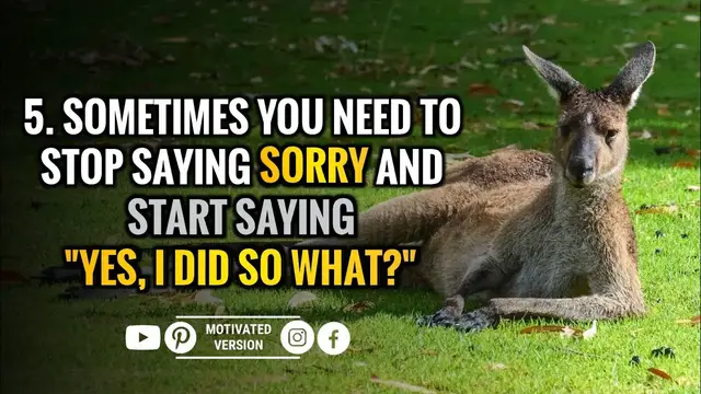 'Video thumbnail for 10 brutally honest quotes that speak the truth'