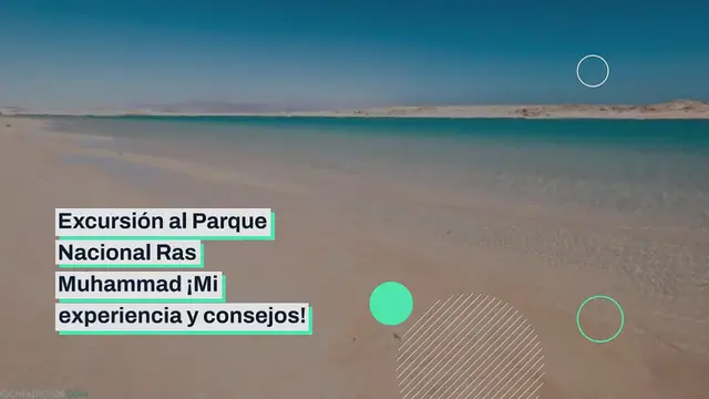 Video thumbnail for Excursión al Parque Nacional Ras Muhammad ¡Mi experiencia y consejos!