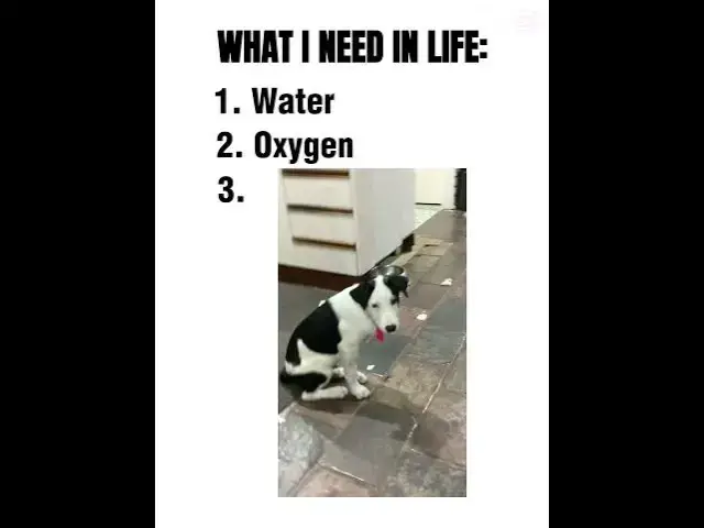 Video thumbnail for what i need in my Life