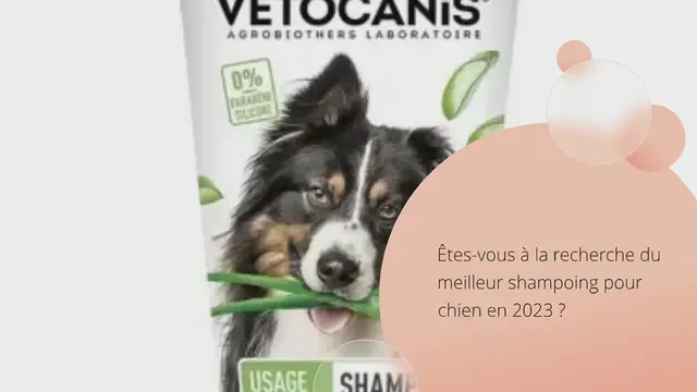 Video thumbnail for Les 12 meilleurs shampoings pour chien en 2024