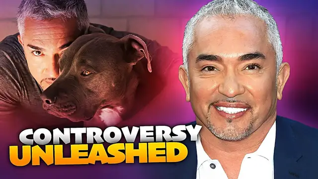 'Video thumbnail for Major Dog Whisperer Controversies We Couldn't Ignore'