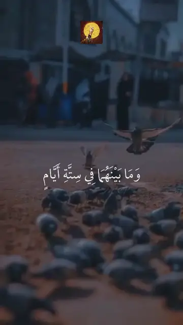 Video thumbnail for Emotional recitation of Furqan Surah verses