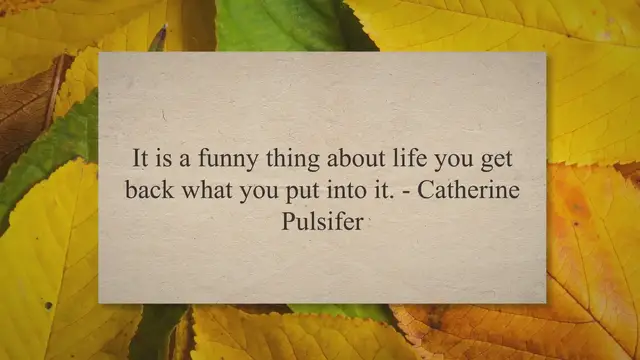 'Video thumbnail for Funny Quotes about Life Page 2'