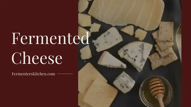 Video thumbnail for Fermented Cheese