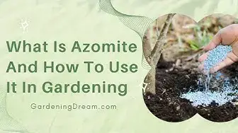 Video thumbnail for What Is Azomite And How To Use It In Gardening