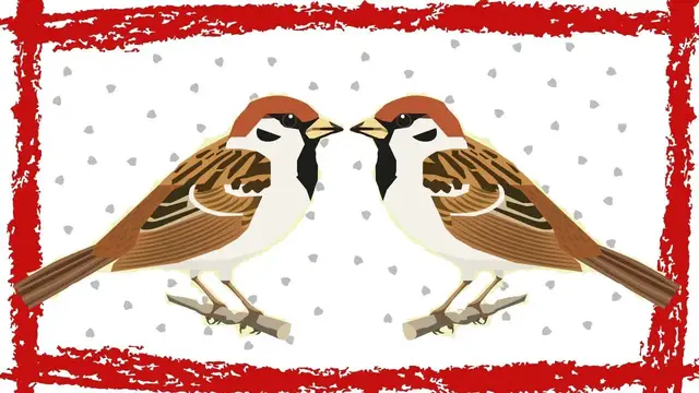 Video thumbnail for 5 Minutes Chipping Sparrow Call | Chipping Sparrow Song | Chipping Sparrow Sounds