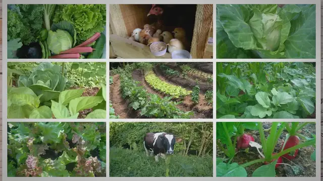 Video thumbnail for Welcome To Micro Farm Guide