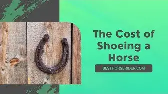 Video thumbnail for The Cost of Shoeing a Horse