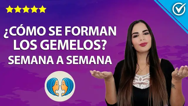 Video thumbnail for Cómo es el embarazo gemelar: cómo se forman y síntomas - ¡Son dos! 🤰
