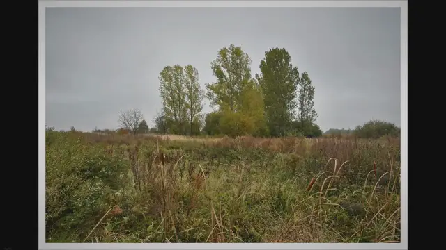 Video thumbnail for Resumen de la historia de Ucrania: Un viaje a través de los siglos