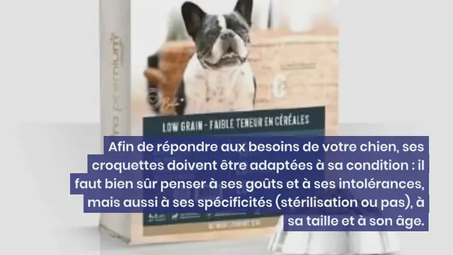 Video thumbnail for Notre top 10 des meilleures croquettes pour chien senior