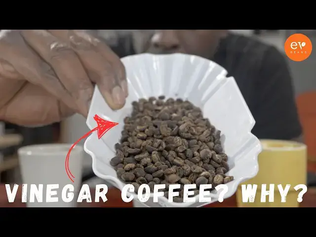 Video thumbnail for Coffee Soaked in Honey vs Vinegar: Taste Test Surprise?