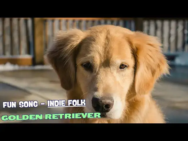 Video thumbnail for 🎶 Golden Fur and Chaos/Fun Song about Golden Retriever 🐾
