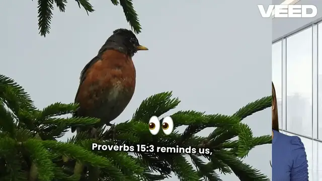 Video thumbnail for 20 Powerful Biblical Meanings of Hawks