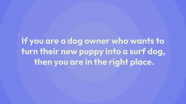 Video thumbnail for How to Pet a Dog? 5 Dos and 5 Don’ts