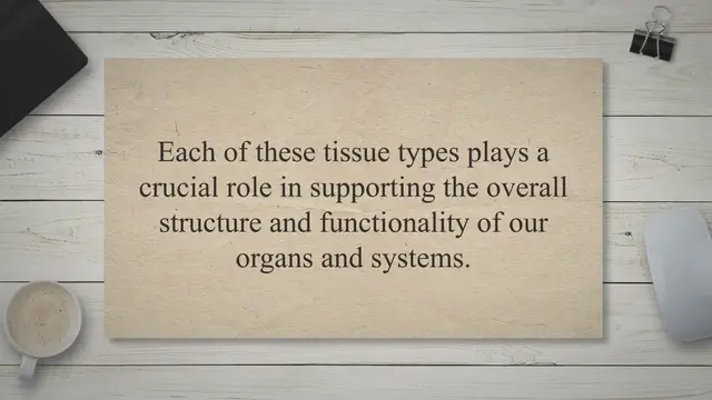 Video thumbnail for Different types of tissues in the human body