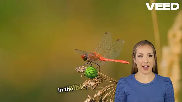 Video thumbnail for Discover 20 Biblical Meanings of Dragonflies