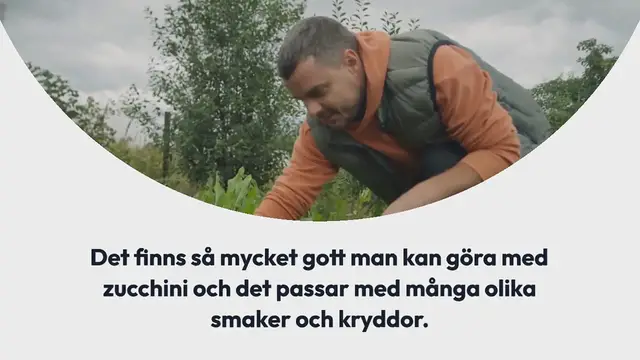 Video thumbnail for Fylld zucchini med grekiska smaker