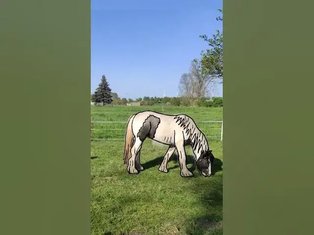 Video thumbnail for So gehts - Eigene Plotterdatei erstellen von deinem Foto - #plotter #cricut #plotten@andreavanbez