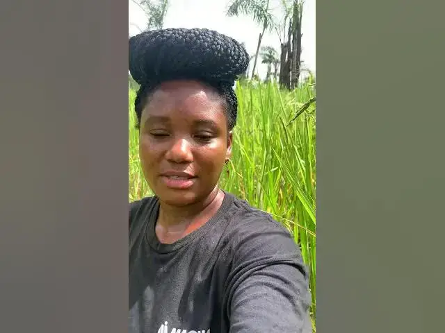 Video thumbnail for View of the farm, video 2 of 3 - Monrovia, Liberia