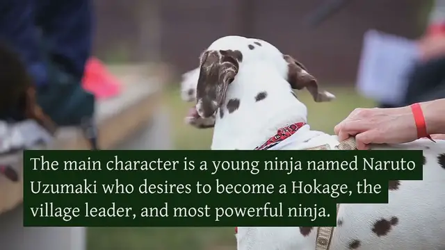 Video thumbnail for 100+ Naruto Dog Names