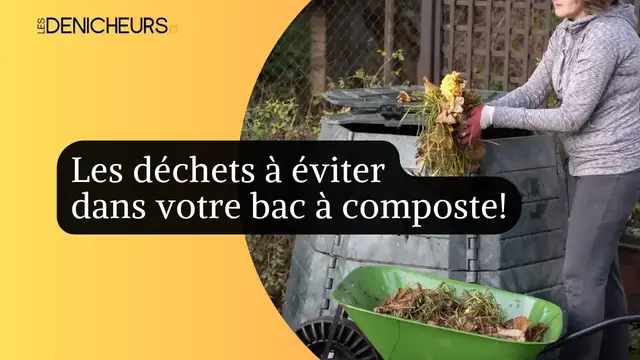 Video thumbnail for ?? Compostage obligatoire en 2024 : les déchets à éviter dans votre bac