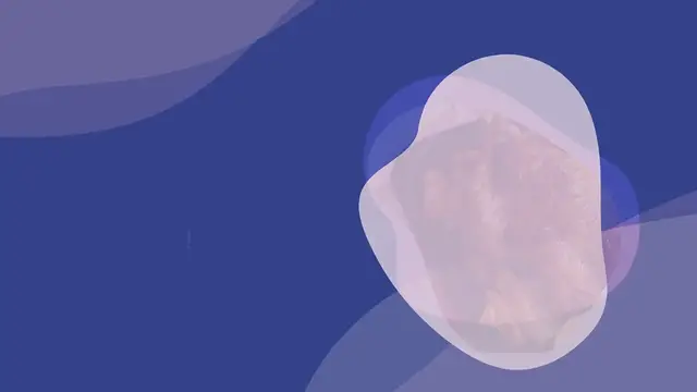 Video thumbnail for TOP 5 BEST BEKEKEN RECEPTEN OP FAMILIE OVER DE KOOK